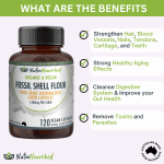 fossil shell flour capsules (vegan) food grade diatomaceous earth 120 caps fossil shell flour capsules (vegan) food grade diatomaceous earth 120 caps