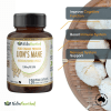 lion's mane mushroom hericium erinaceus (2,000mg) 120 vegan capsules