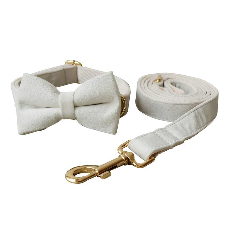 Cream dog collar with bow and matching leash