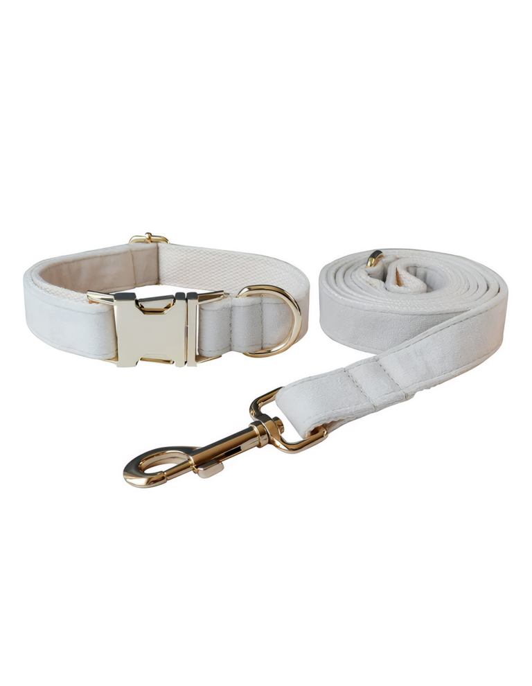 White leather dog collar and matching lead