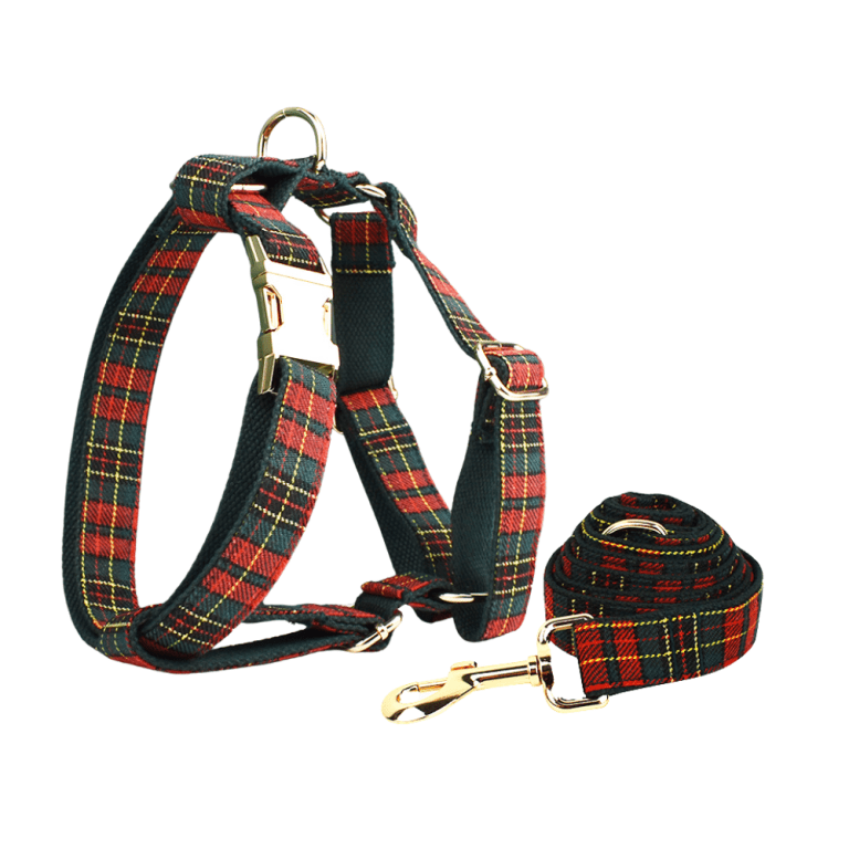 Tartan dog harness and matching lead set