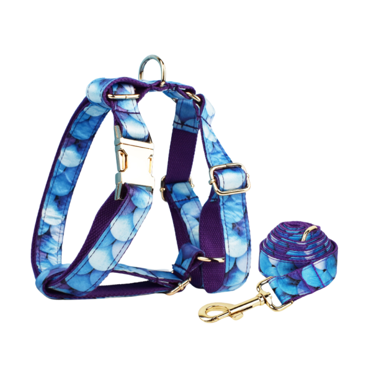 13.png Blue patterned dog harness and matching leash set
