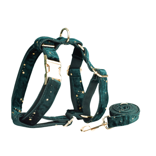 Green velvet dog harness and leash set