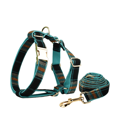 Teal plaid dog harness and matching lead