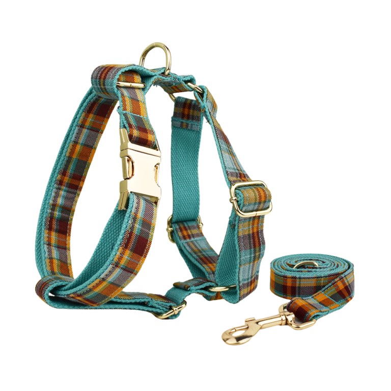 Teal tartan dog harness and leash set