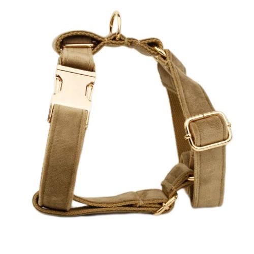Beige dog collar with gold hardware