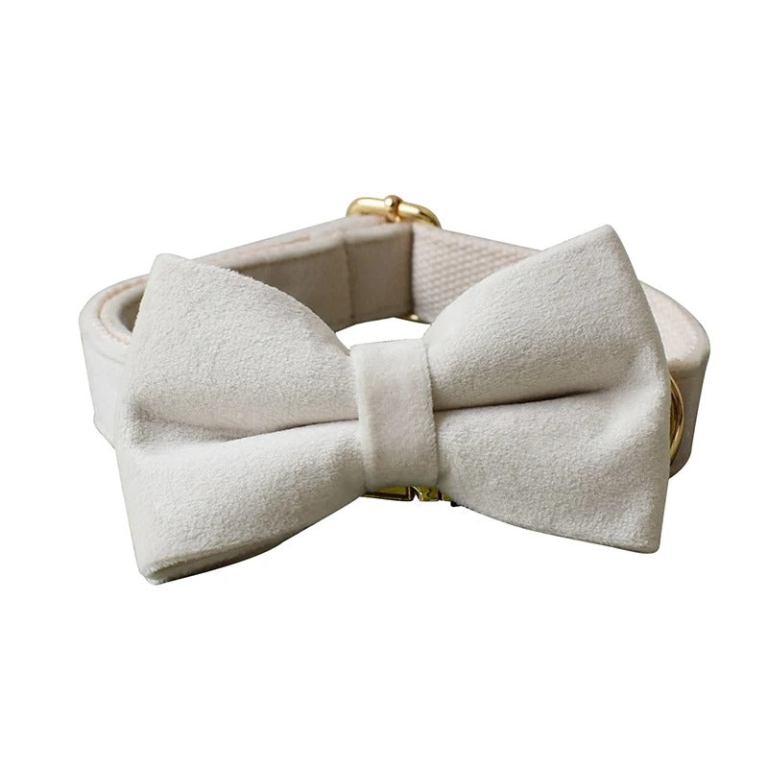 c623ca17 37cd 4a2e 94f1 7658e1f89287.jpg Cream velvet bow tie pet collar
