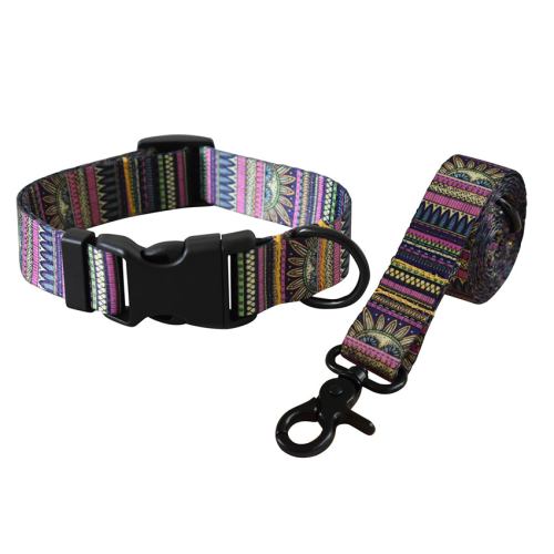 Colourful patterned dog collar and matching lead