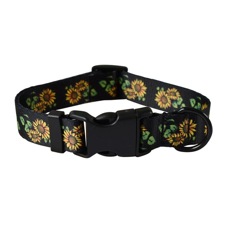 Black dog collar with sunflower pattern