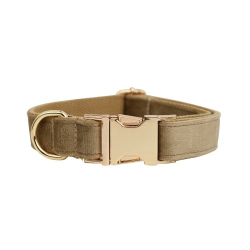 Beige dog collar with gold metal buckle