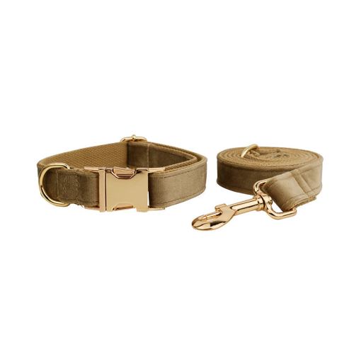 Khaki dog collar and leash with gold hardware
