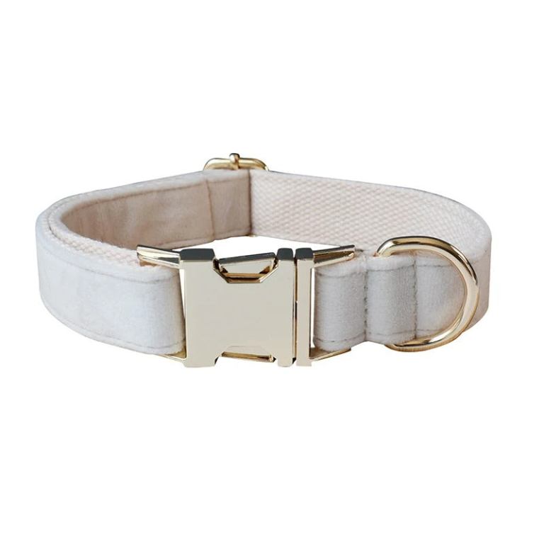 Cream dog collar with gold buckle