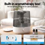 Humidifier with built-in aromatherapy box and adjustable nozzle