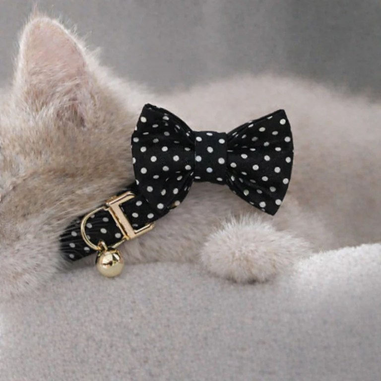 image 1 Cat wearing black polka dot bow tie collar
