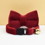 Red velvet cat collar with bow and bell