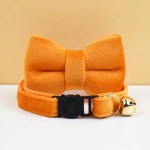 image 1 Orange cat collar with bow tie and bell
