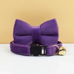 Purple cat collar with bow and gold bell
