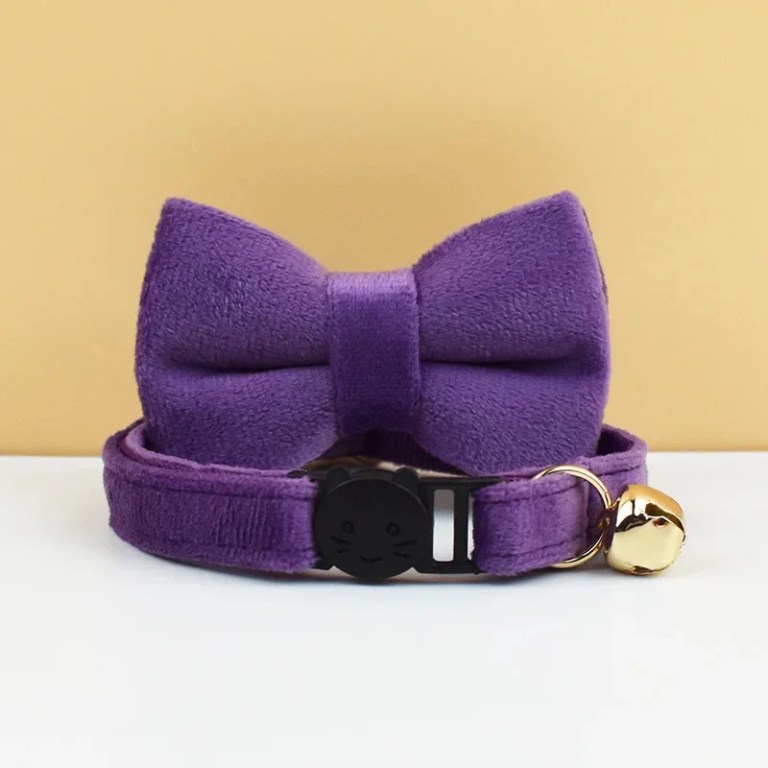 Purple cat collar with bow and gold bell