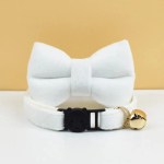 White cat collar with bow and bell