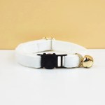 image 1 White cat collar with bell and black clasp
