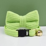 image 1 Light green bow tie cat collar with bell