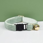 image 1 Mint green cat collar with bell and buckle