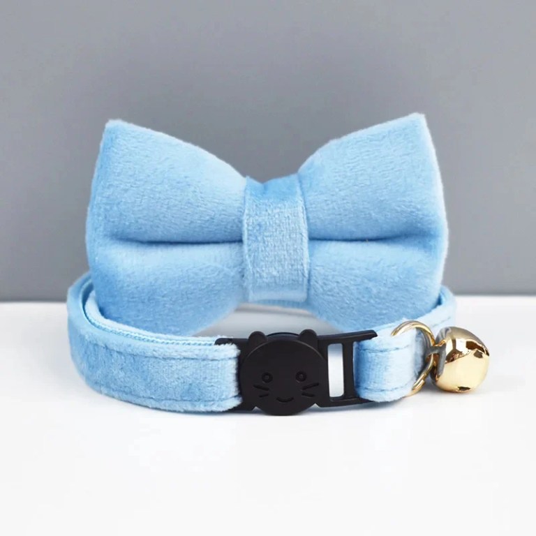 Light blue pet collar with bow and bell