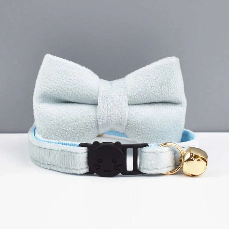 Light blue plush cat collar with bow and bell