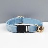 Light blue cat collar with gold bell