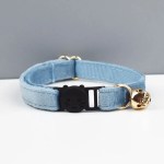 image 1 Light blue cat collar with gold bell