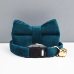 Teal cat collar with bow and bell