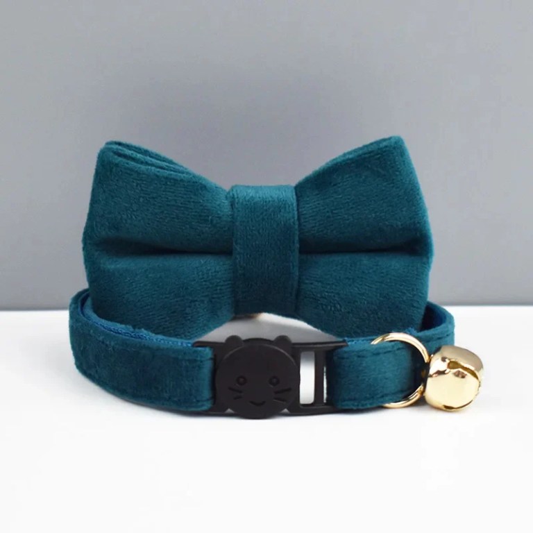 Teal cat collar with bow and bell
