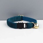 image 1 Teal cat collar with gold bell and clasp