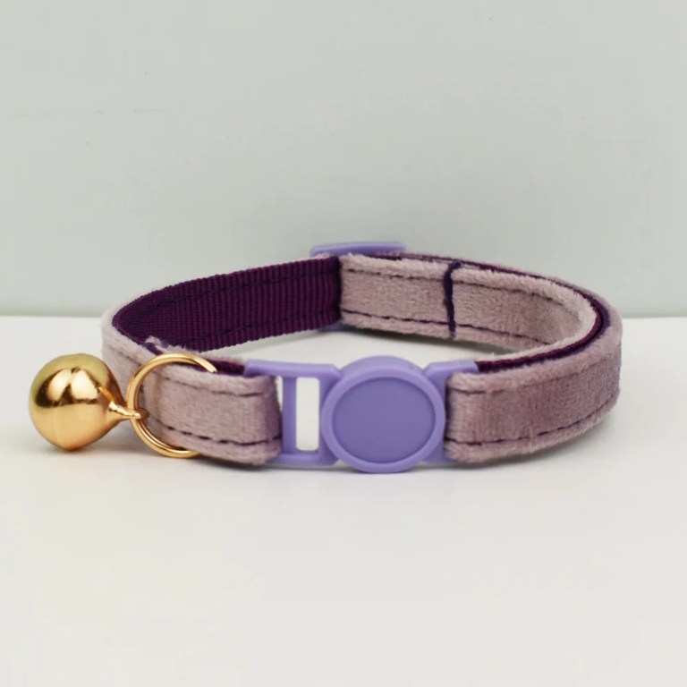 Beige cat collar with purple buckle and bell