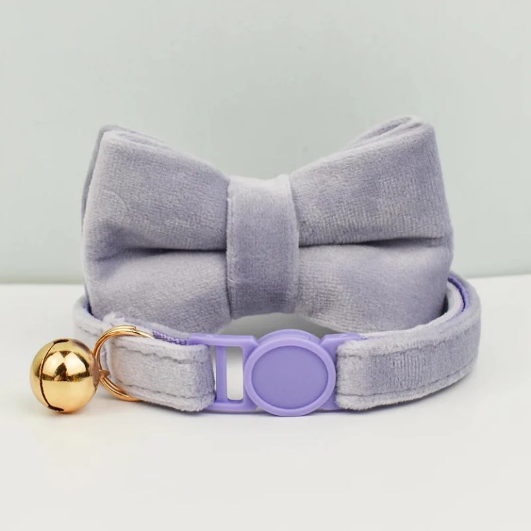 Grey bow tie cat collar with bell