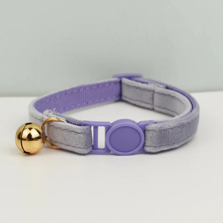 Lavender cat collar with gold bell and buckle