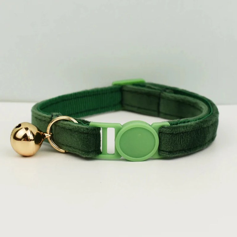 Green velvet cat collar with gold bell