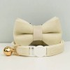 image 1 Cream velvet pet collar with bow and bell