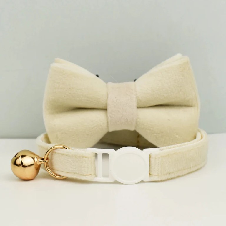 image 1 Cream velvet pet collar with bow and bell