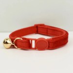 Red pet collar with gold bell and buckle