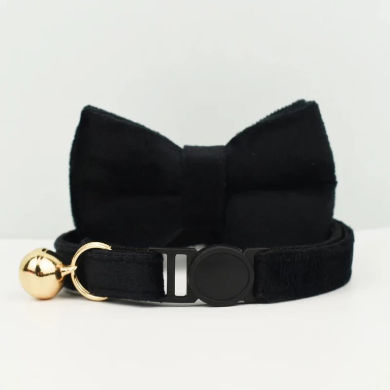 image 1 Black cat collar with bow and gold bell