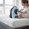 Woman placing cat into pet carrier backpack