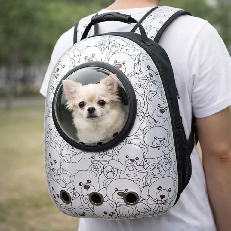 Chihuahua in bubble window pet carrier backpack