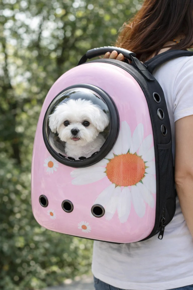 image 1 Small white dog in pink backpack carrier