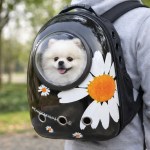 Small white dog in bubble pet backpack