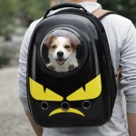 Dog inside space capsule pet backpack outdoors