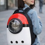 Woman carrying cat in bubble backpack
