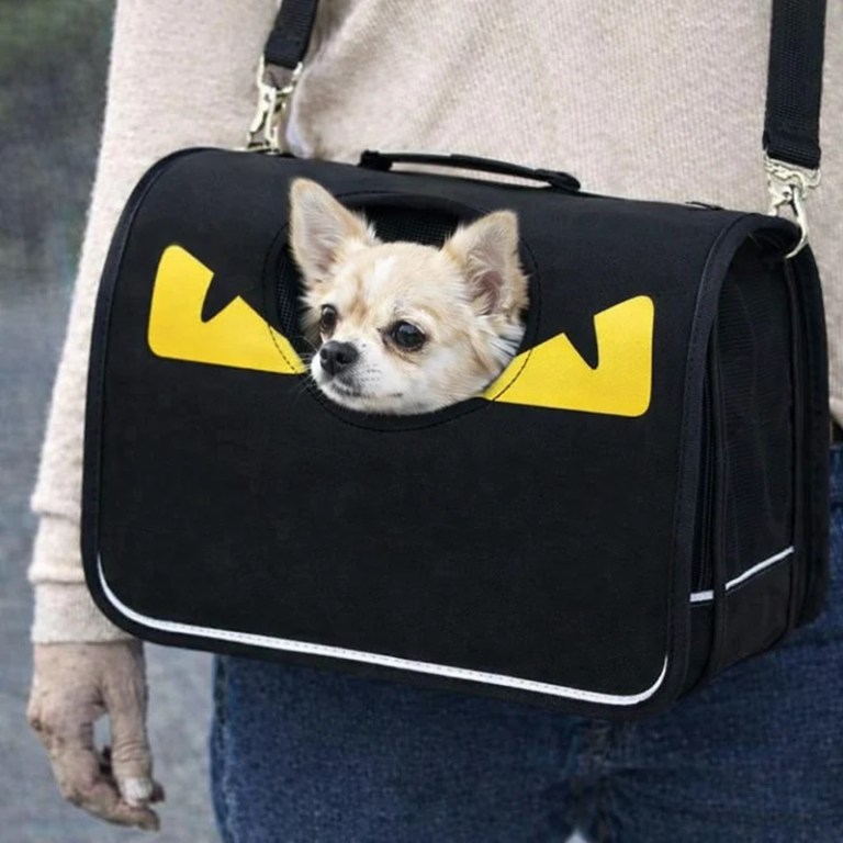 image 1 Chihuahua peeking out of black pet carrier bag