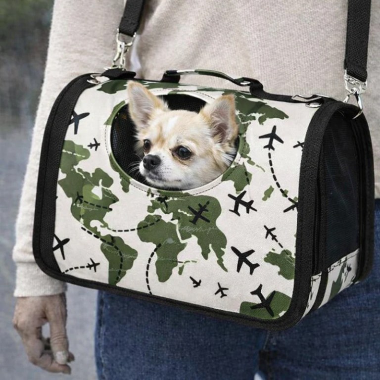 image 1 Chihuahua in world map print pet carrier