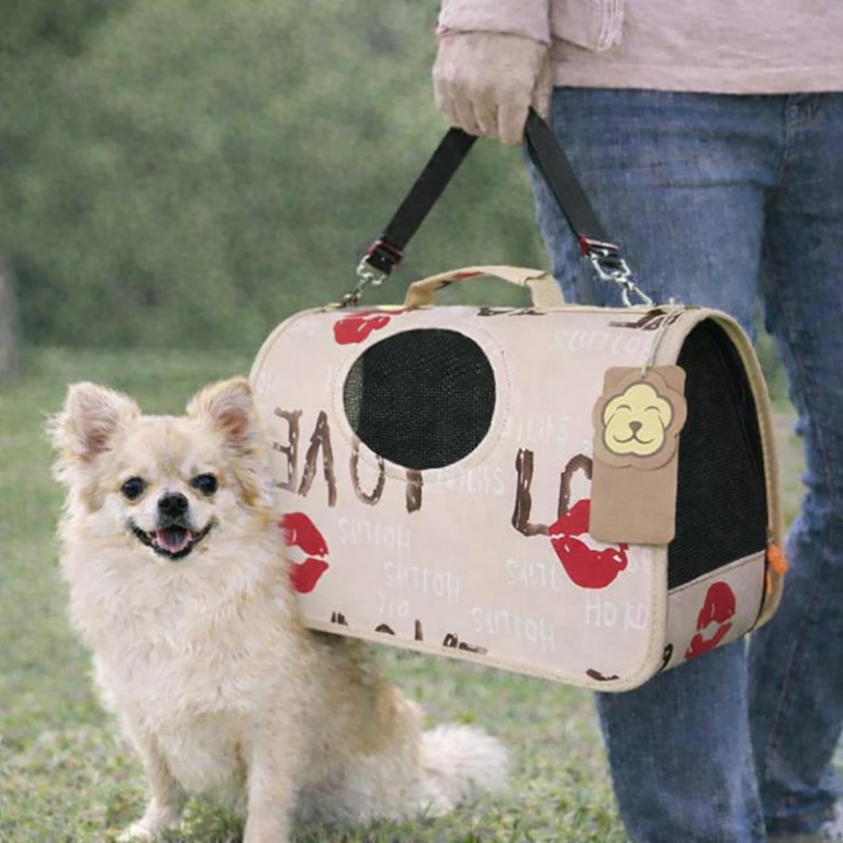 image 1 Small fluffy dog beside stylish pet carrier outdoors